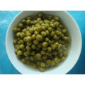 Canned Green peas